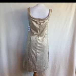 Charolette Russe Dress